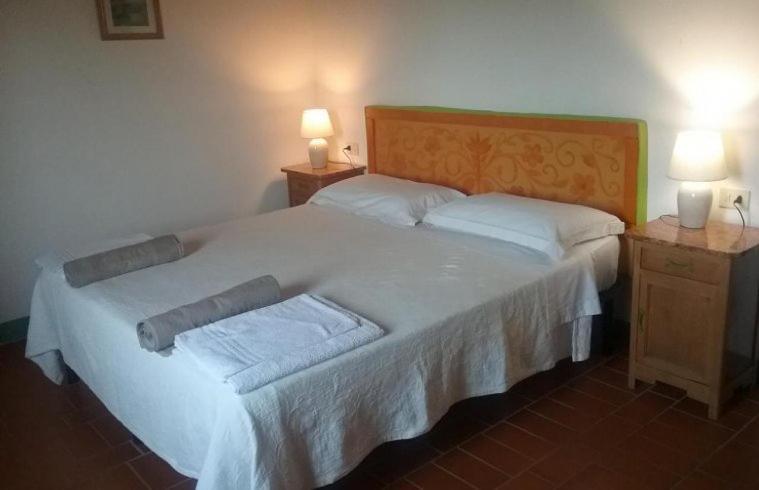 La Ca'solare Apartment Palaia