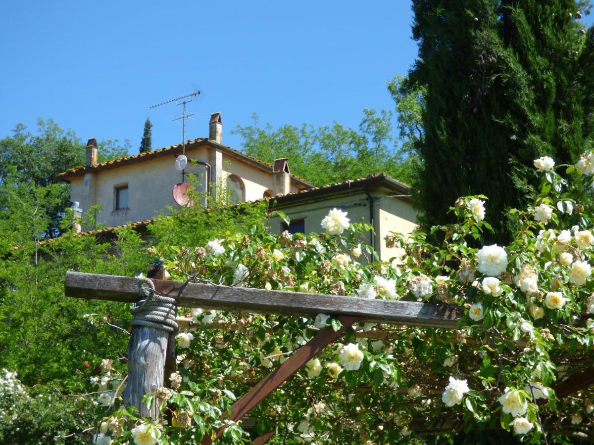 La Ca'solare Palaia