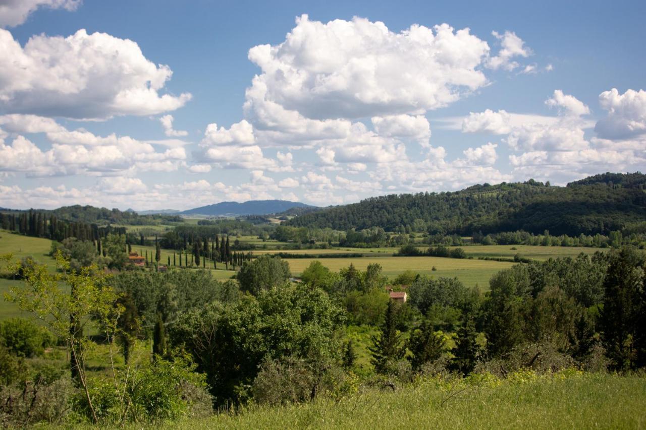 La Ca'solare * Palaia